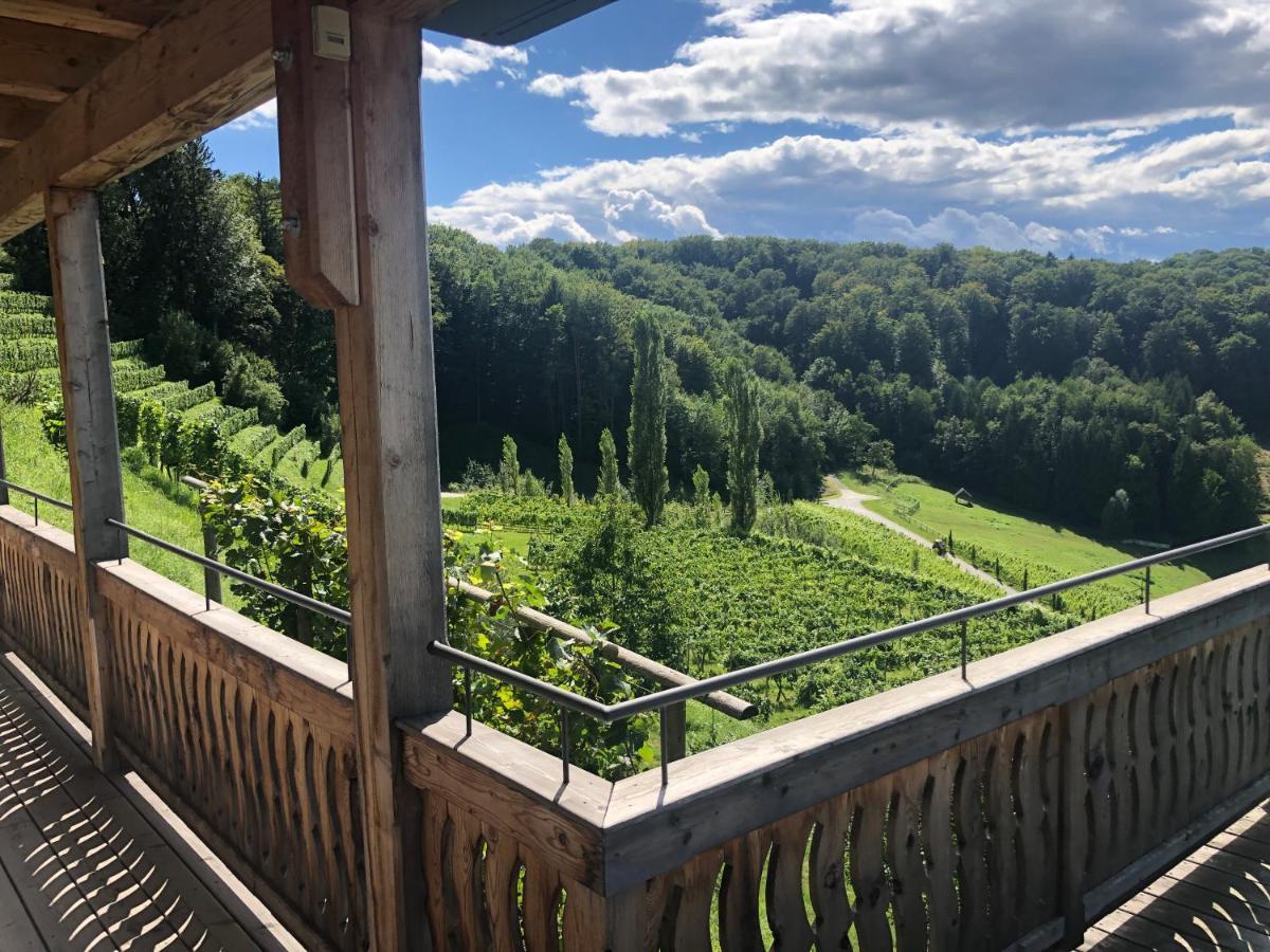 Appartement Georgiberg เอห์เรนเฮาเซน ภายนอก รูปภาพ
