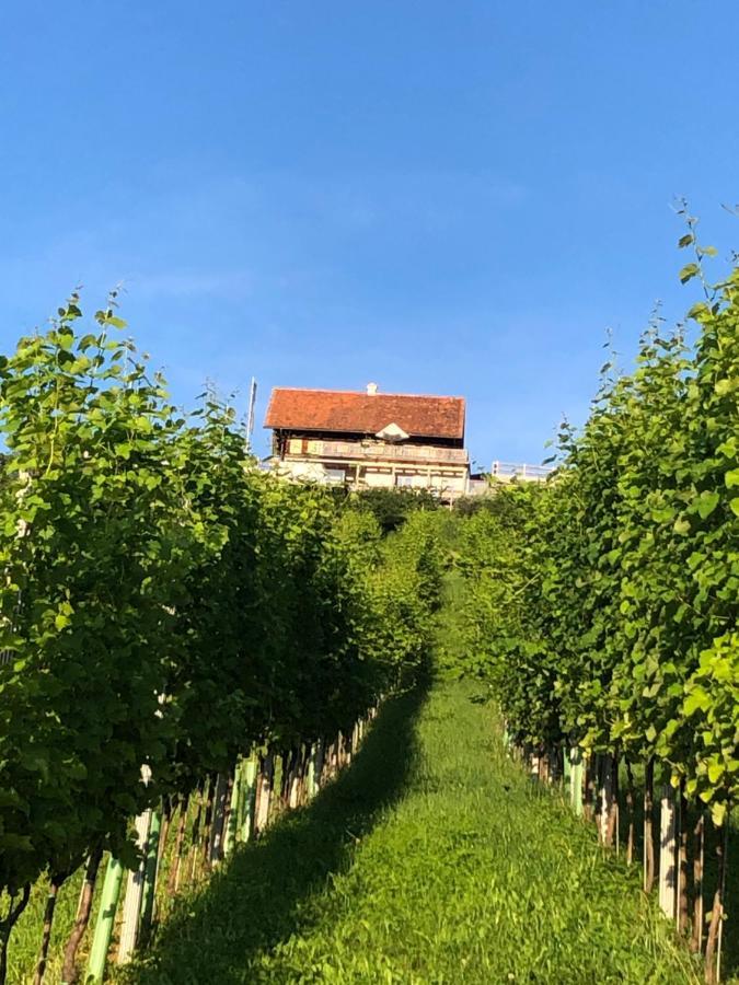 Appartement Georgiberg เอห์เรนเฮาเซน ภายนอก รูปภาพ